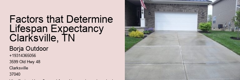 Factors that Determine Lifespan Expectancy Clarksville, TN